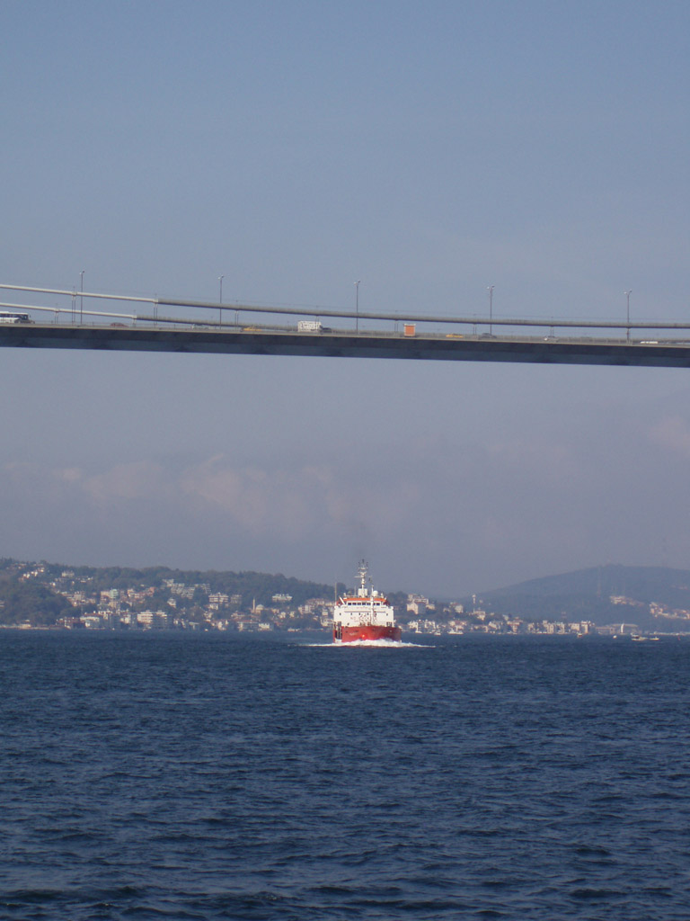 P3192231